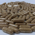 Lion's Mane Capsules