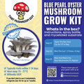 Blue Pearl Oyster Mushroom Grow Kit Mushroom Grow Kit That Mushroom Guy 