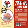 Pink Oyster Mushroom Grow Kit Mushroom Grow Kit That Mushroom Guy 