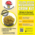 Winter White Oyster Mushroom Grow Kit Mushroom Grow Kit That Mushroom Guy 