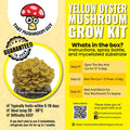 Winter White Oyster Mushroom Grow Kit Mushroom Grow Kit That Mushroom Guy 