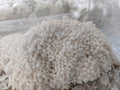 Winter White Oyster Mushroom Grow Kit Mushroom Grow Kit That Mushroom Guy 